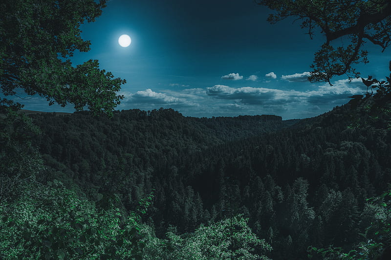 A thick hilly forest underneath a full moon and deep blue sky at night, clouds, sky, night, blue, forest, twilight, trees, leaves, moon, green, full moon, jungle, argent, HD wallpaper