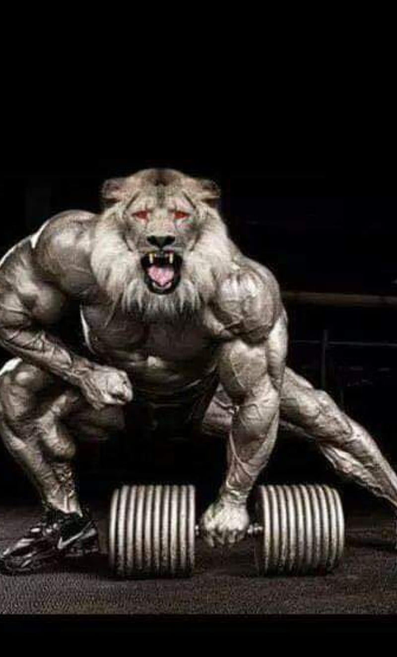 Powerlifting lion, beast, gym, HD phone wallpaper | Peakpx