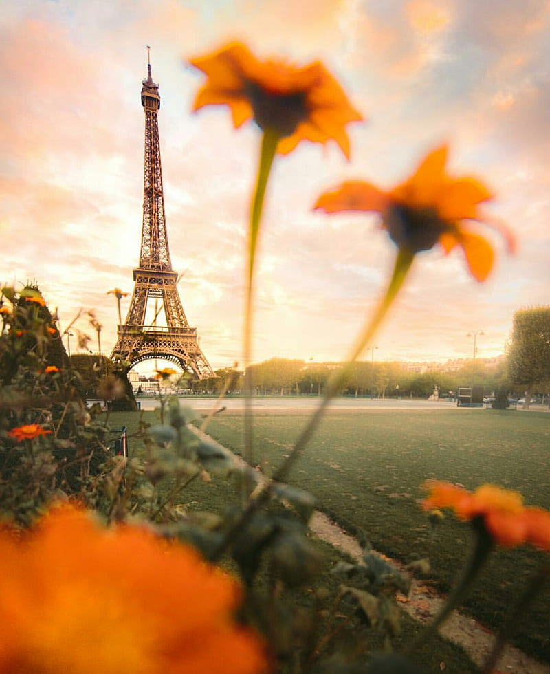 Paris Sightseeing, colorful, eiffel tower, flower, orange, sunlight, sunset, HD phone wallpaper