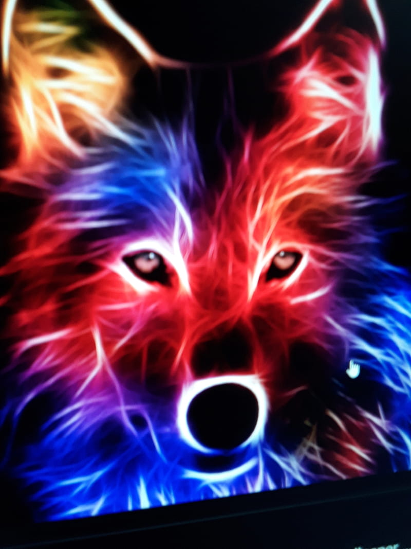 Neon wolf, lights, mystic, HD phone wallpaper