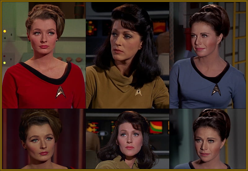 Women from The Original Star Trek, Star Trek, Jan Shutan, Diana Muldaur, TOS, Star Trek Women, Majel Barrett Roddenberry, HD wallpaper