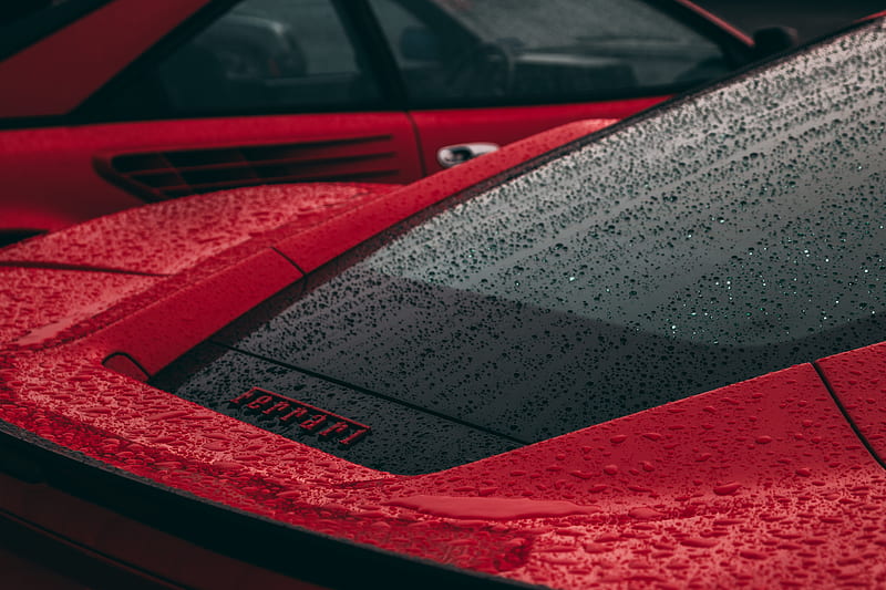 Rain Drops On Ferrari, ferrari, carros, rain, drops, HD wallpaper