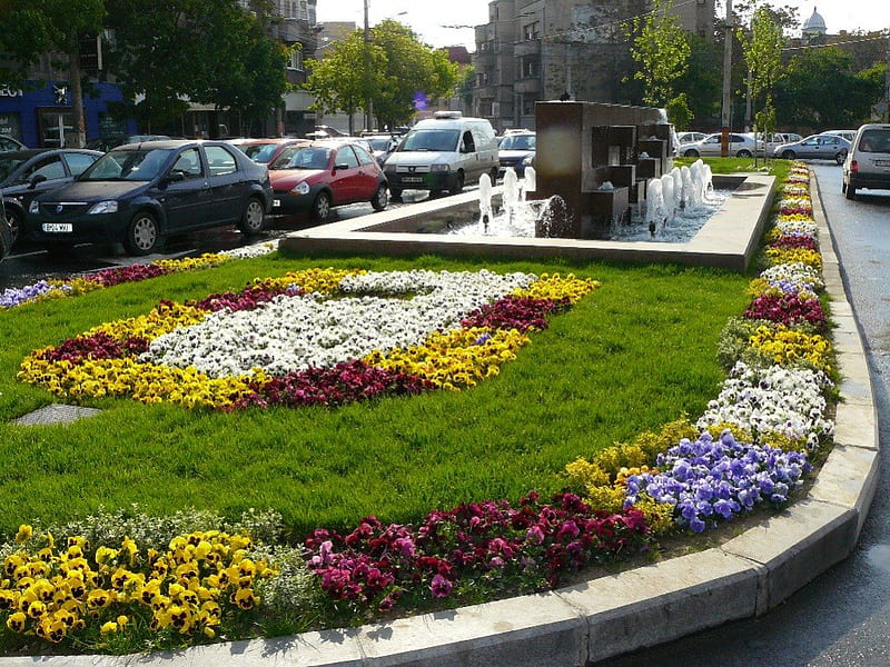 Romania, Bucharest, fountain, romania, yellow, pansy, bucharest, avenue, tree, car, summer, flower, HD wallpaper