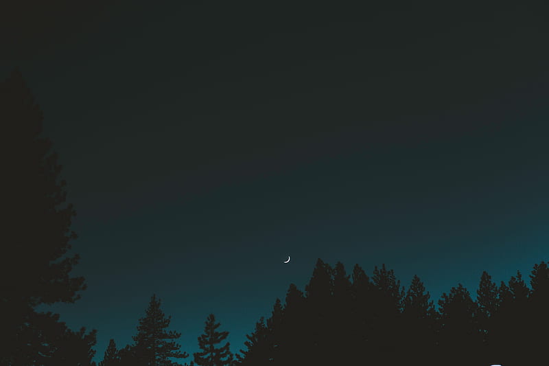 moon, sky, night, trees, crescent, HD wallpaper