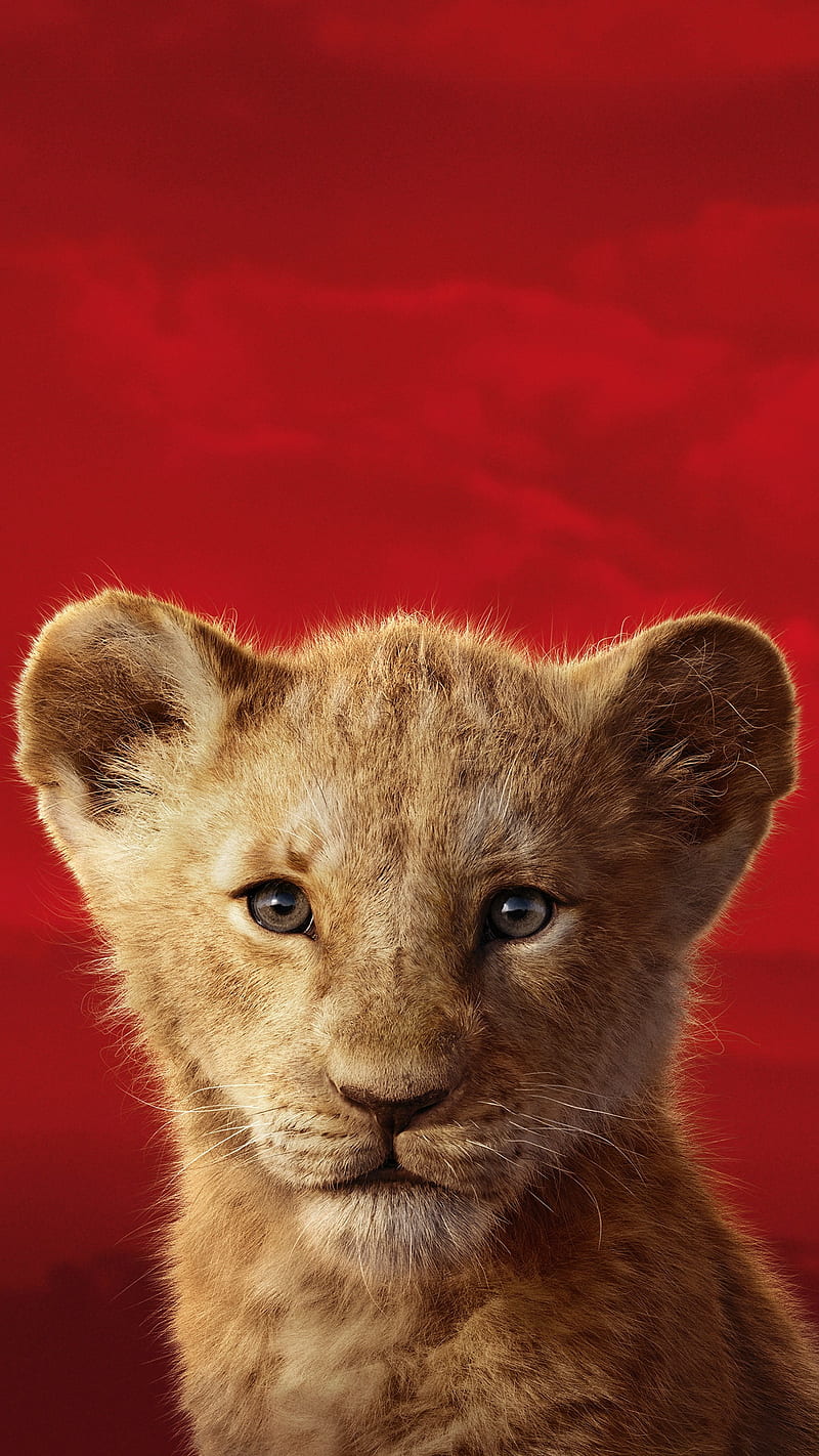 The Lion King Simba, lion king, lion king 2019, mufasa, nala, red, the lion king, HD phone wallpaper