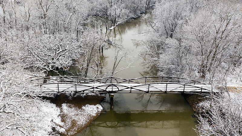 Wooden Bridge Between River Surrounded By Snow Covered Trees Winter, HD wallpaper