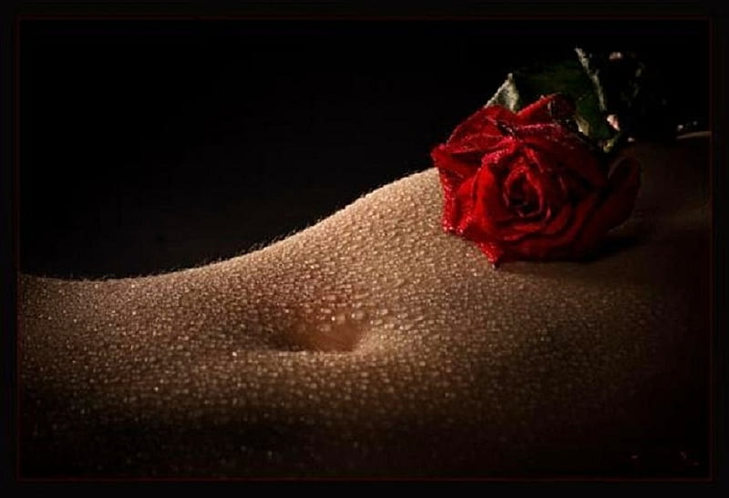 Naval Petals, sensual, red, flowers, feminine, beauty, petals, roses, elegant, HD wallpaper