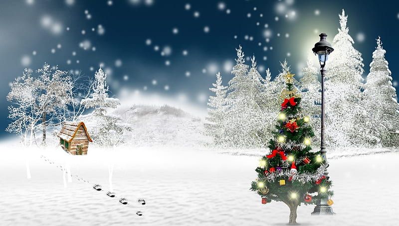 Christmas in Wonderland, tree, christmas, snow, cottage, lamppost, HD wallpaper