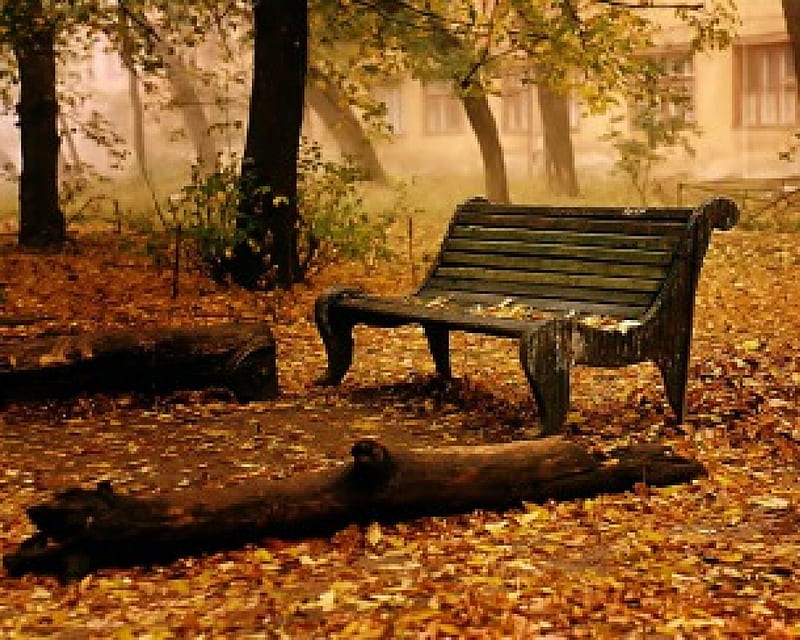 RESTING PLACE IN AUTUMN PARK, fall, autumn, bench, garden, park, trees, landscape, HD wallpaper