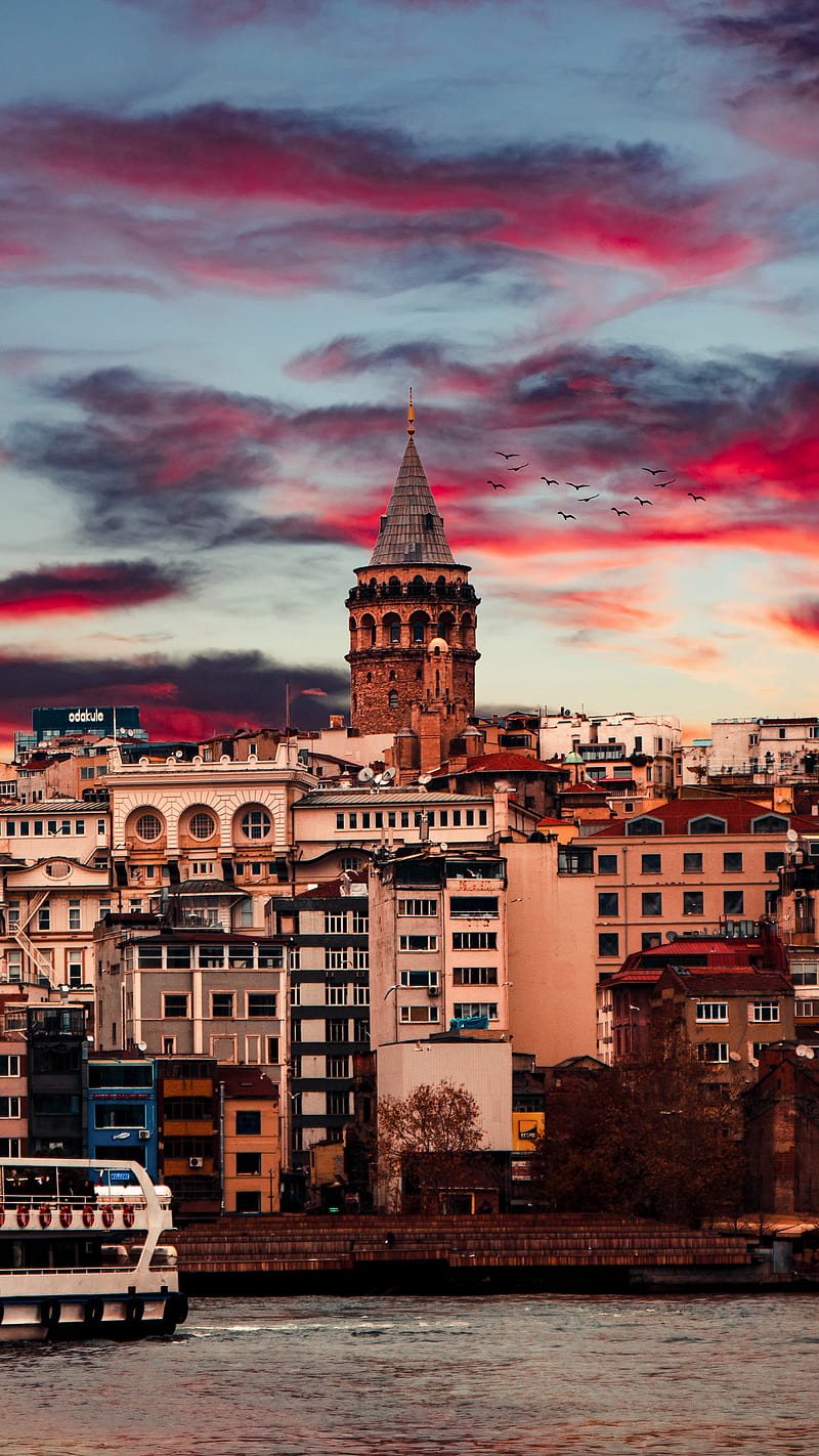GALATA TOWER, SHERIF, bird, city, cloud, istanbul, sea, sky, HD phone wallpaper