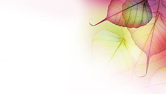 Leaves of Pastel, fall, autumn, leaves, pastel, soft, pink, Firefox Persona  theme, HD wallpaper