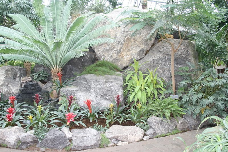 Flowers day at Edmonton Pyramids 30, red, rocks, palm, trees, leaves, graphy, green, Bromeliads, garden, Flowers, HD wallpaper