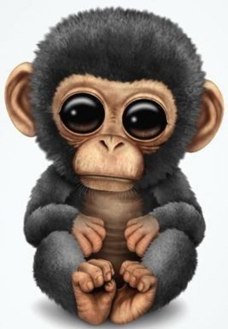 Monkey, love, cute, HD phone wallpaper