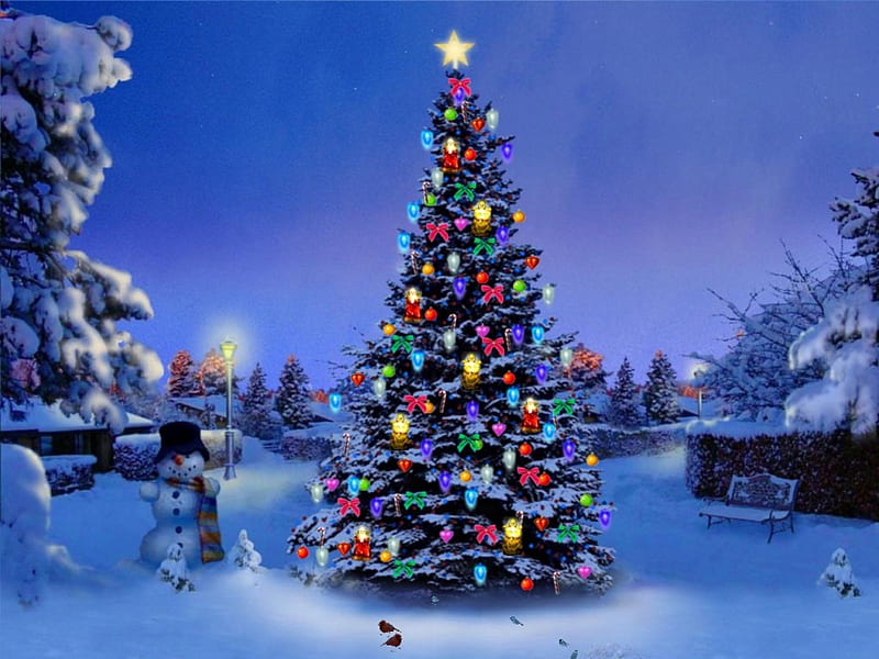 Snowman and Christmas Tree, Christmas tree, snow, nature, snowman ...