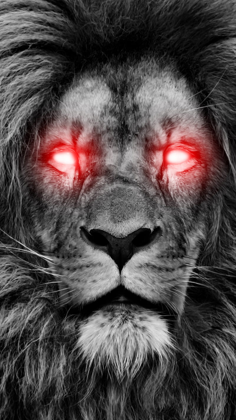 Demon lion king, DARK, animal, animals, black and white, crazy, eyes, glow,  nature, HD phone wallpaper | Peakpx