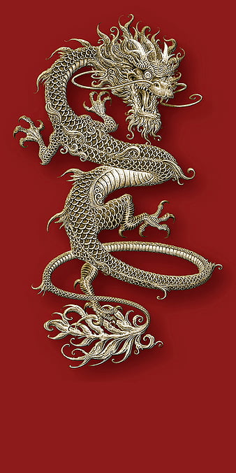 100+] Golden Dragon Wallpapers | Wallpapers.com