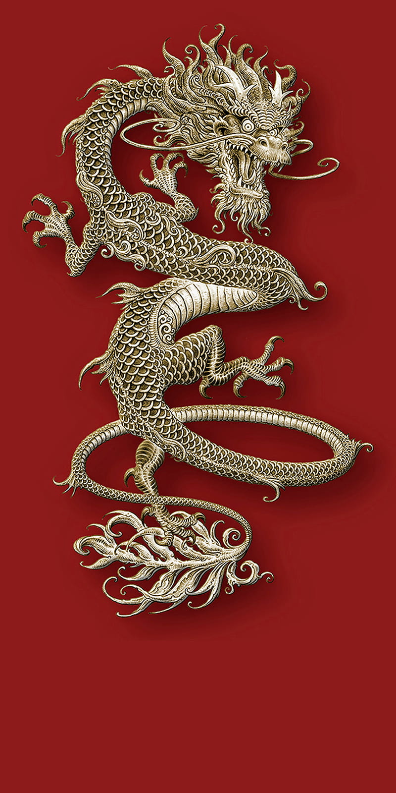 Golden Dragon, gold, red, HD phone wallpaper