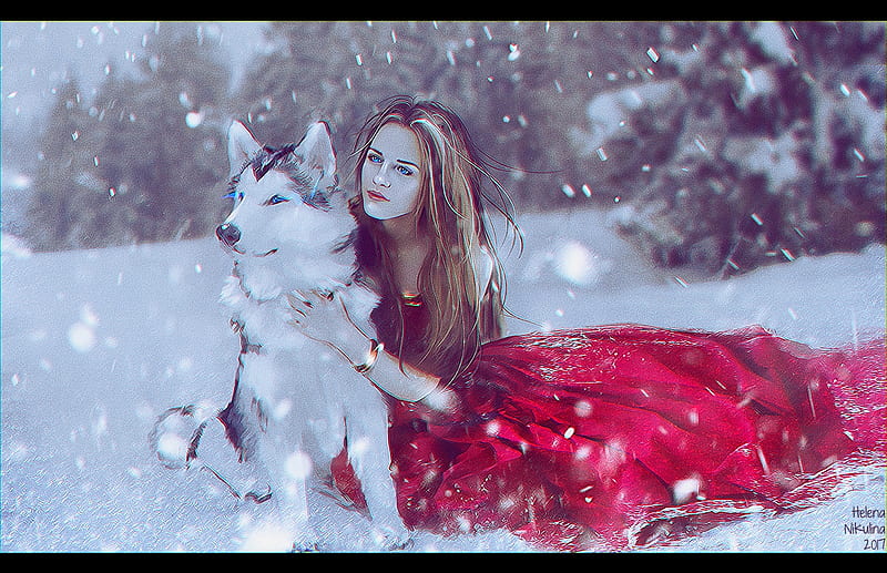 Inseparable Friends, red, wolf, abstract, winter, HD wallpaper