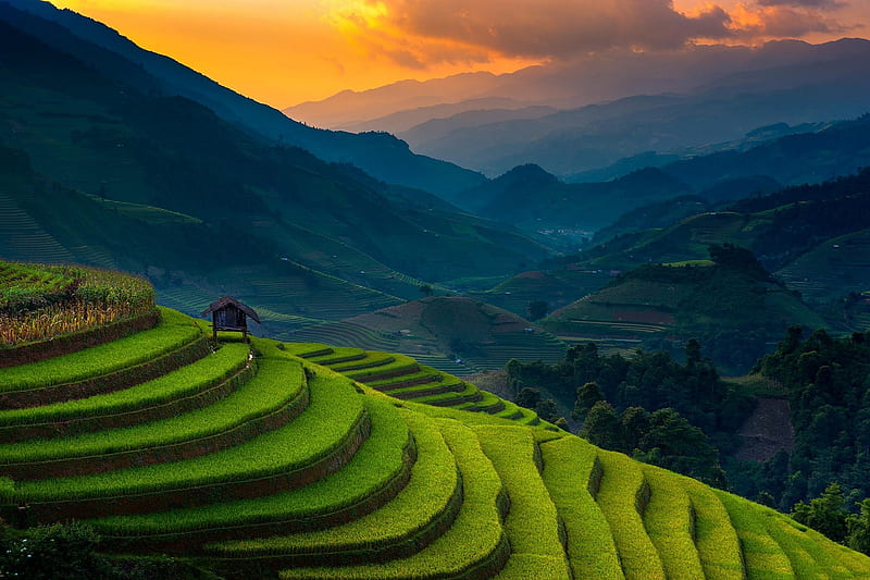 Vietnam Rice Paddy, hills, green, mountains, rice paddy, nature, vietnam, HD wallpaper