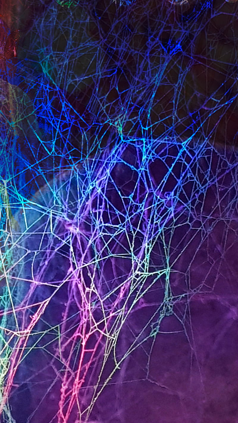 Spider Web Neon Colors Samsung Style Windows Colors Desenho Digital Art Hd Mobile Wallpaper Peakpx