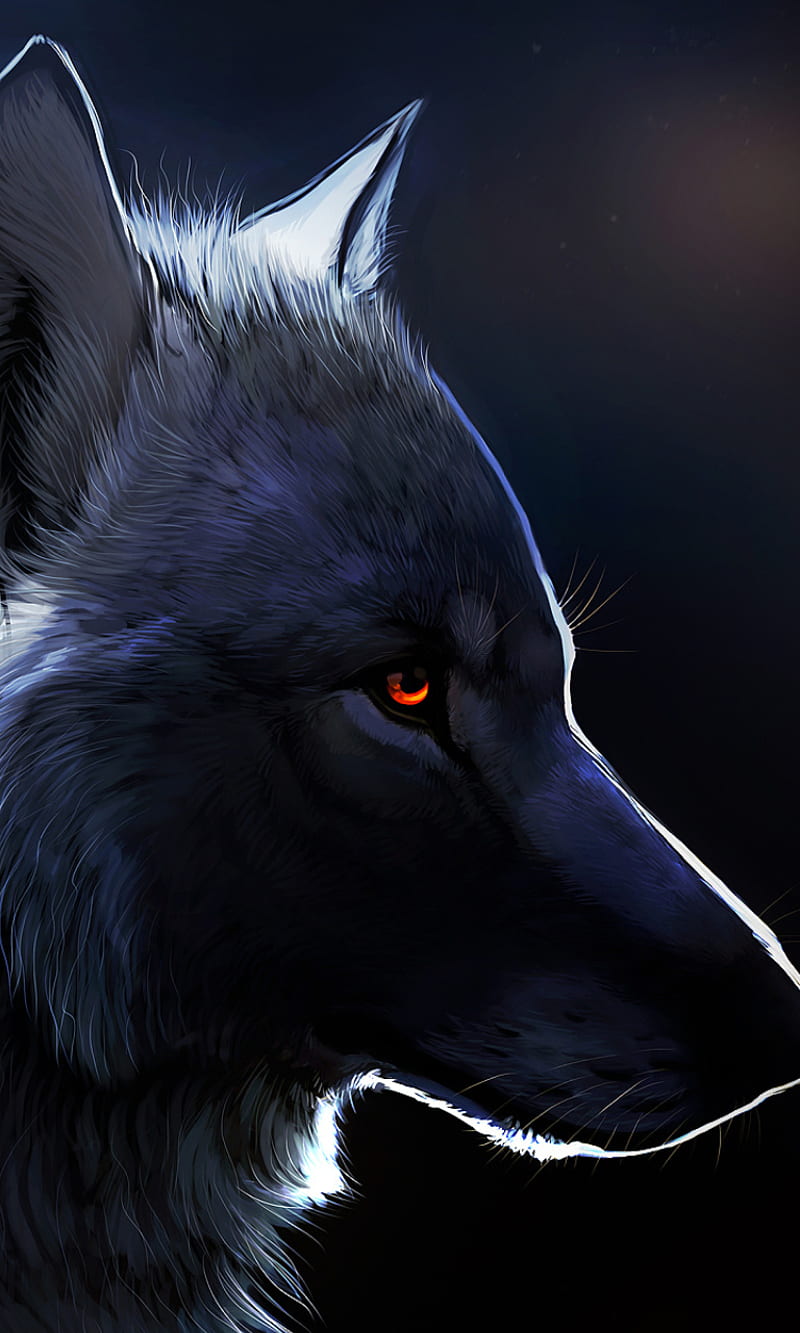 Wolf, eyes, HD phone wallpaper