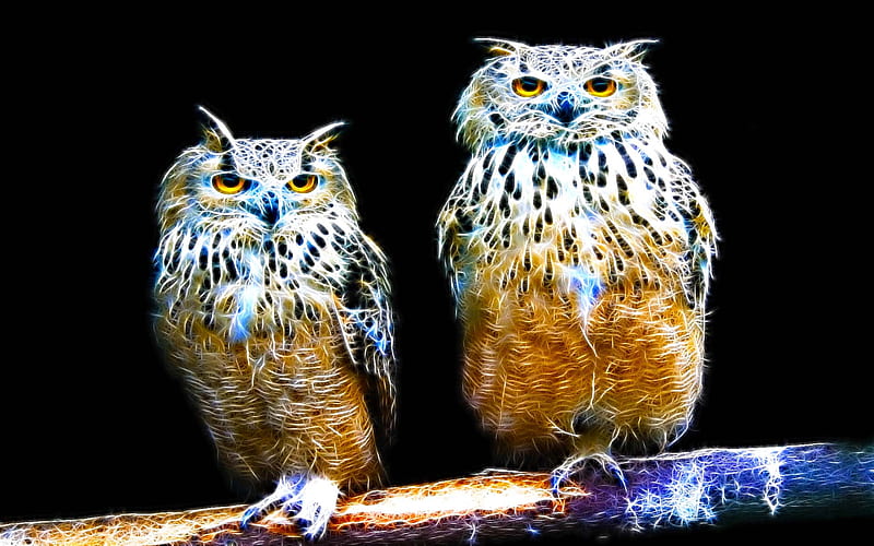 Twin Eagle Owl, sparkle, fractalius, bird, eagle owl, beauty, animal, HD wallpaper