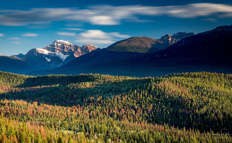 Jasper National Park, Canada, Landscape Ultra, Canada, Alberta, Nature, Landscape, Mountains, Woods, jasper, HD wallpaper