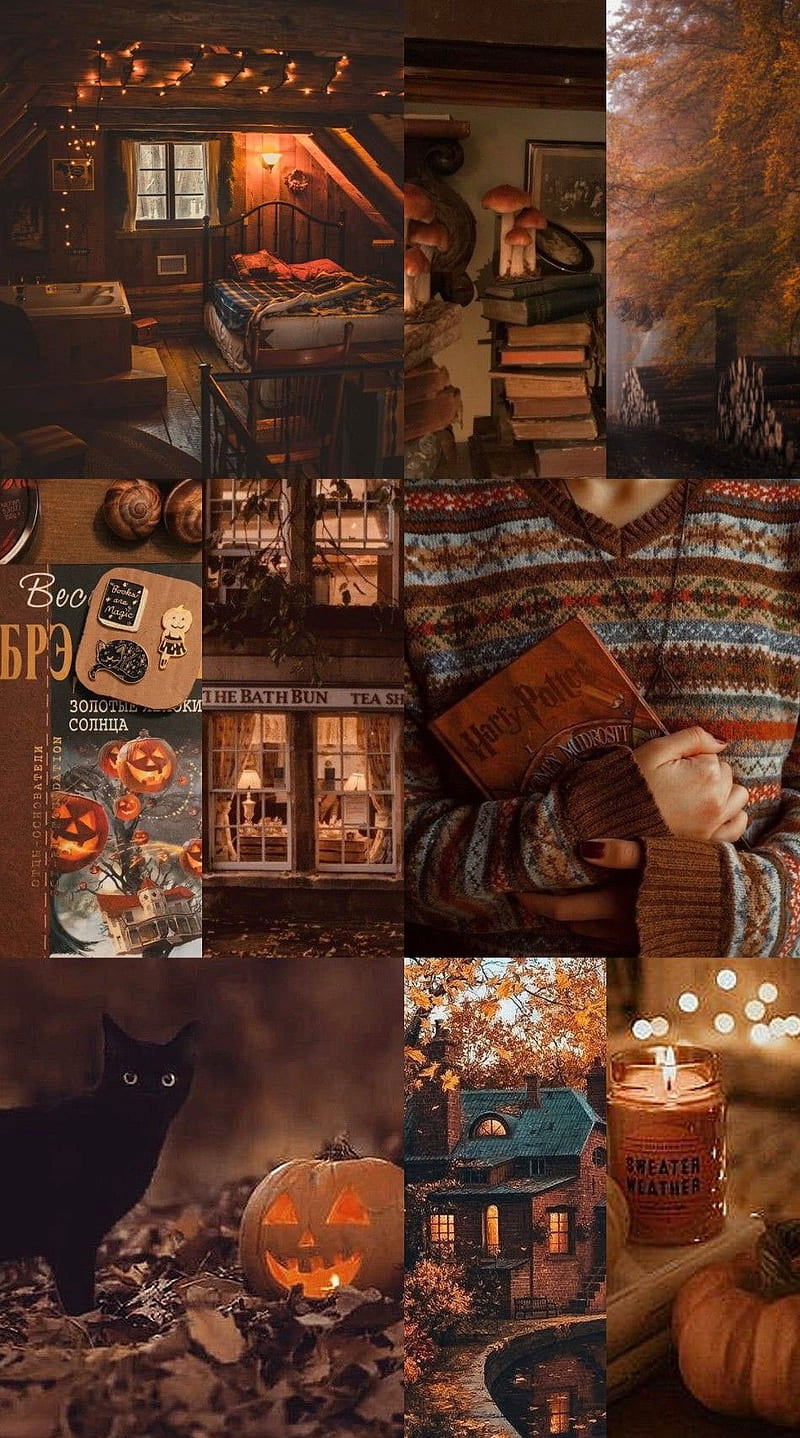 Cute Brown Aesthetic for Phone : Brown Collage Autumn I Take You ...