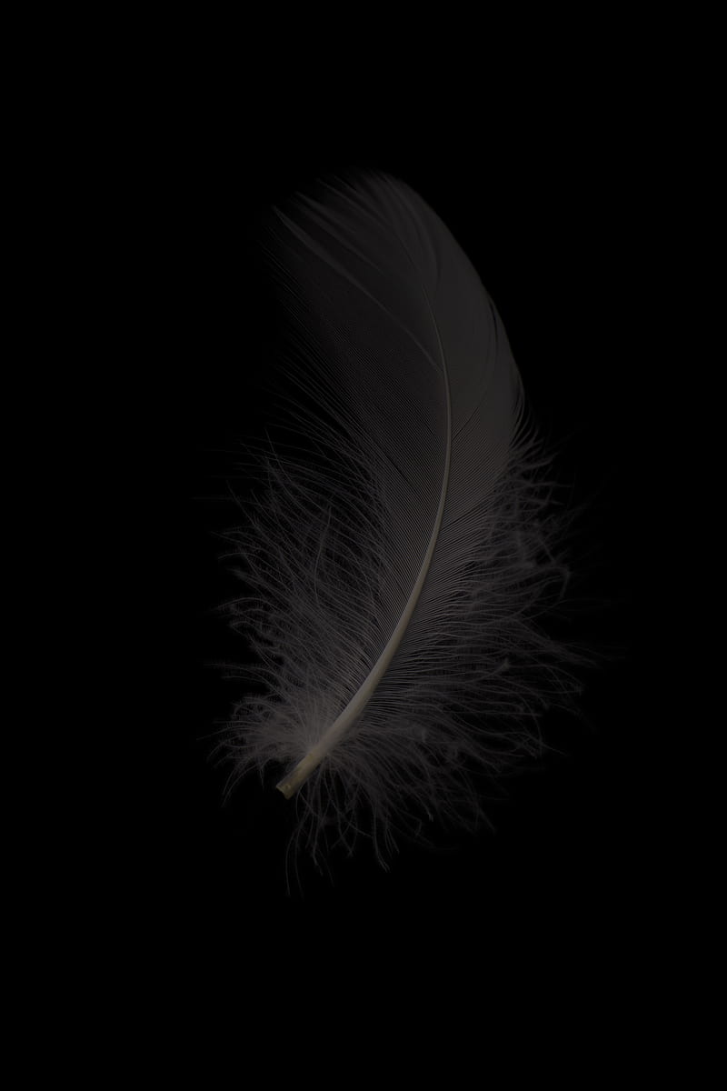 white feather on black background, HD phone wallpaper