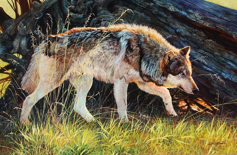 On the Prowl, painting, nature, wolf, artwork, HD wallpaper