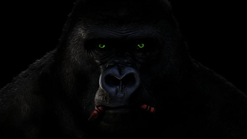 Updated Gorilla , Now With GREEN EYES Per Request. Happy 4th, Apes! : R Superstonk, Gorrilla, HD wallpaper