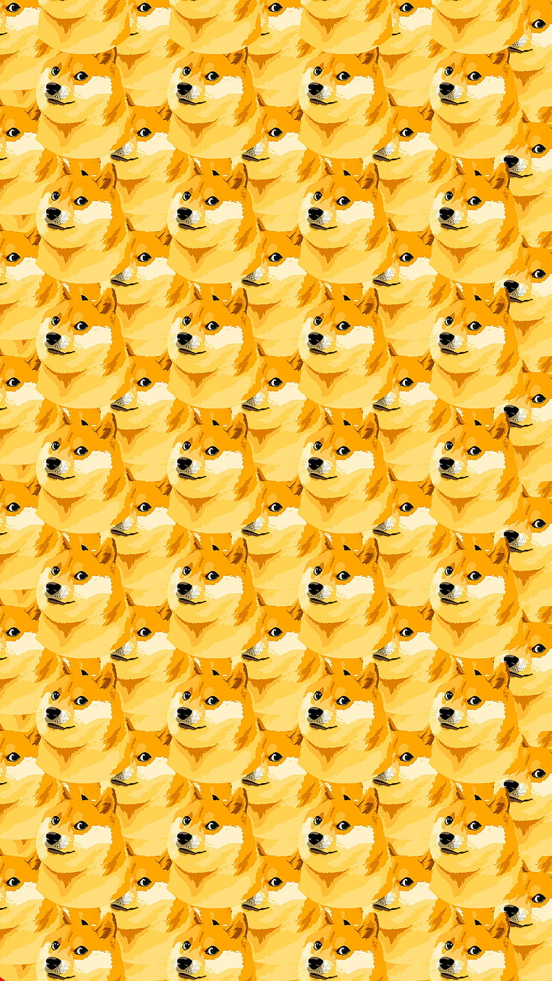 Doge, dogecoin, dorado, perro, naranja, cripto, dux, shiba, shiba inu, bitcoin, crypto, HD phone wallpaper