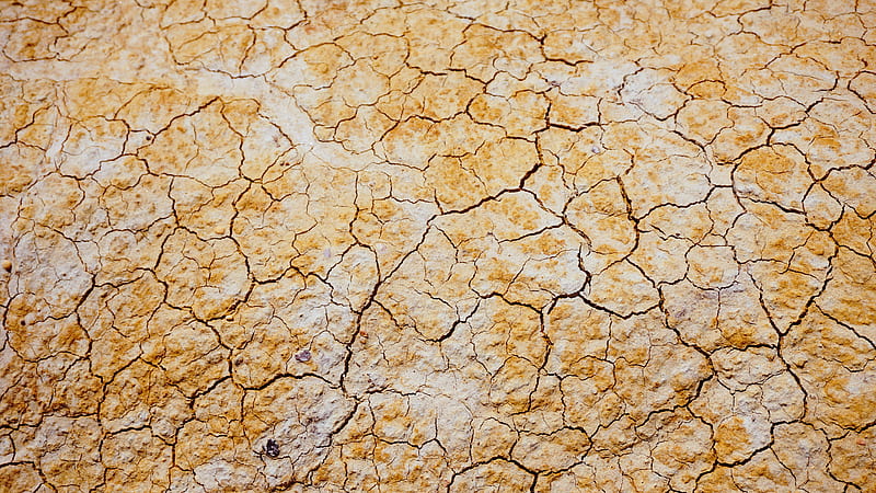 dried brown soil, HD wallpaper