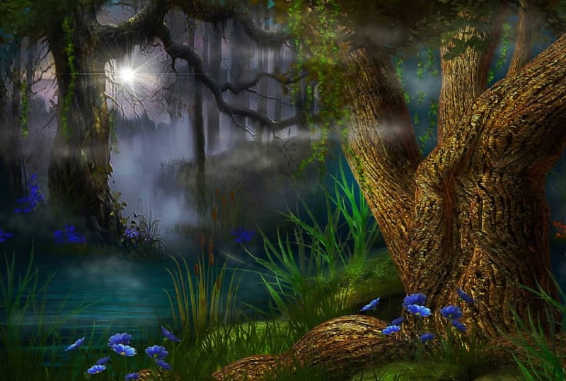 Destellos, fantasia, color, niebla, vista, HD wallpaper