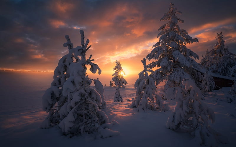 sunset, winter, snow, evening, forest, mountains, winter landscape, HD wallpaper
