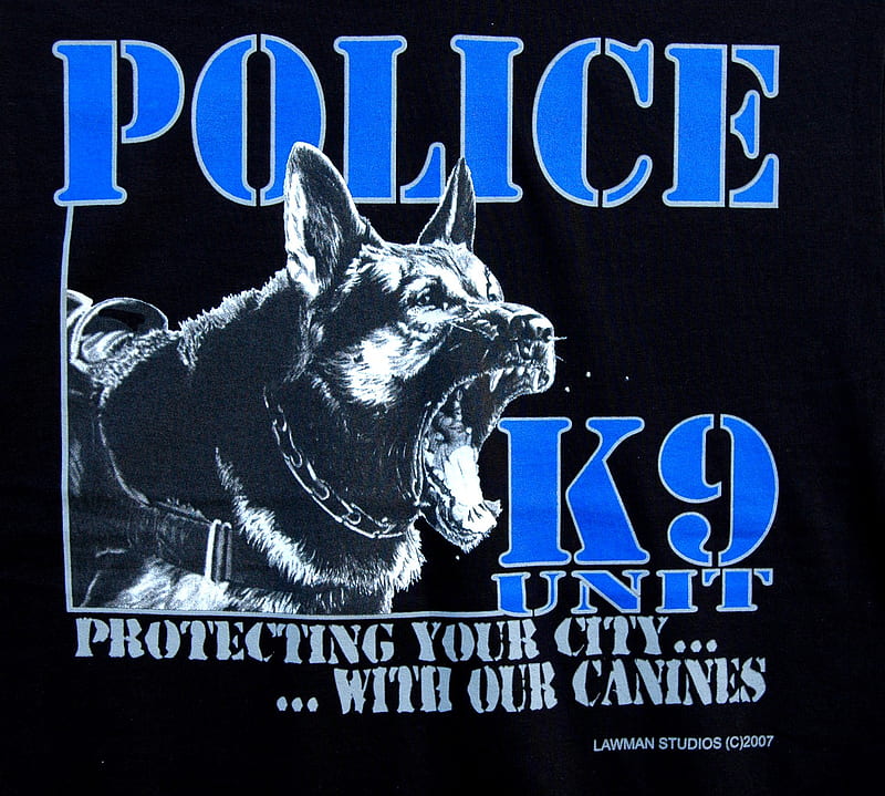 6100 Police Dog Stock Photos Pictures  RoyaltyFree Images  iStock   Police dog training K9 police dog Police dog handler