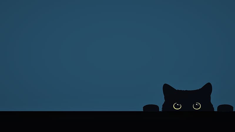 Forever Watching, kitten, black cat, cat, watching, eyes, HD wallpaper ...